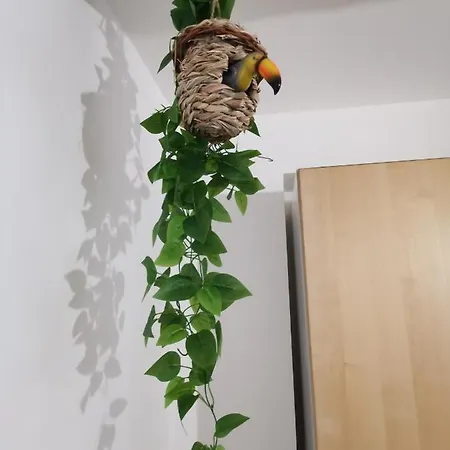 Calypso セニガッリア